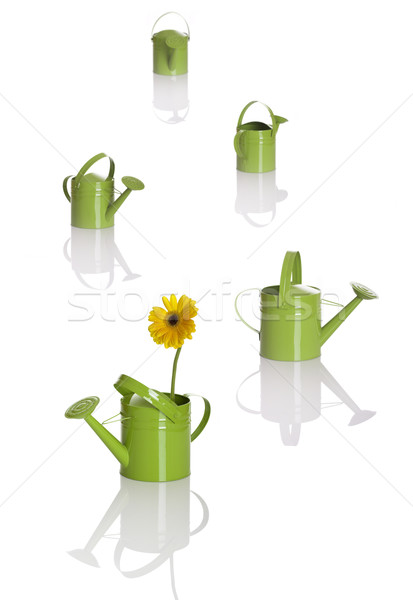 Watering cans Stock photo © iko