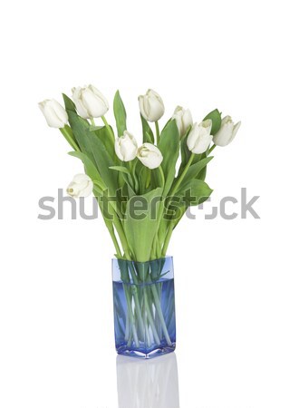 Tulips Stock photo © iko