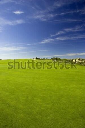 Verde luncă frumos iarba verde Blue Sky cer Imagine de stoc © iko