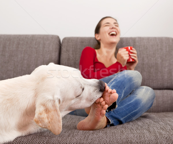 狗 腳趾 女子 飲用水 咖啡 沙發 商業照片 © iko