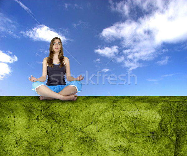 Making Yoga Stock photo © iko
