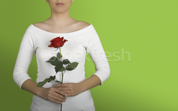 Woman with a red rose Stock photo © iko