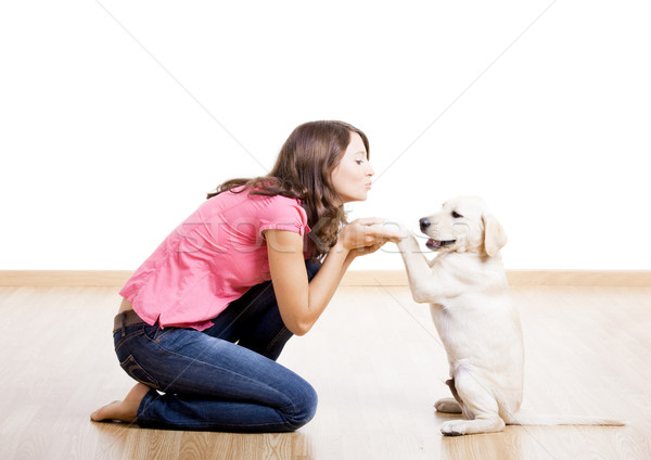 Jugando cachorro hermosa joven agradable cute Foto stock © iko