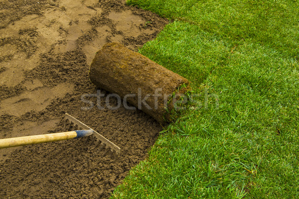 Kert kertész jelentkezik tőzeg tekercsek udvar Stock fotó © iko