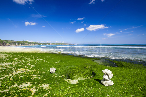 Biały kamienie plaży piękna tropikalnej plaży skał Zdjęcia stock © iko