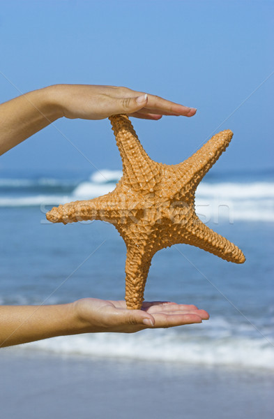 [[stock_photo]]: Starfish · femme · Homme · mains · plage
