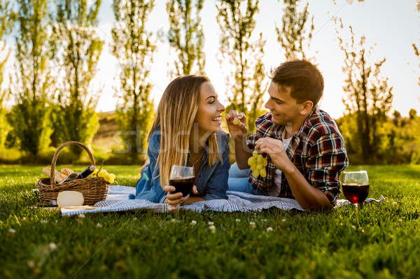 Just us and a Picnic Stock photo © iko