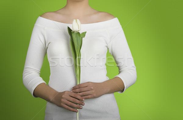 Tulip woman Stock photo © iko