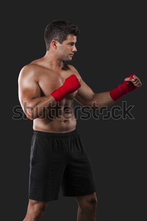 Foto d'archivio: Uomo · corpo · combattere · ritratto · muscolare