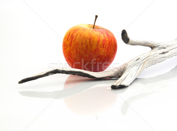 Red apple with a  wooden piece  Stock photo © iko