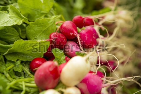 Organikus retek helyi piac egészség zöld Stock fotó © iko