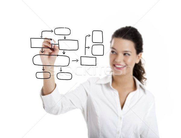 Tekening diagram jonge zakenvrouw geïsoleerd witte Stockfoto © iko