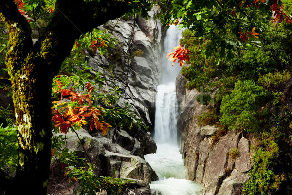 [[stock_photo]]: Eau · printemps · belle · cascade · fraîches · pur