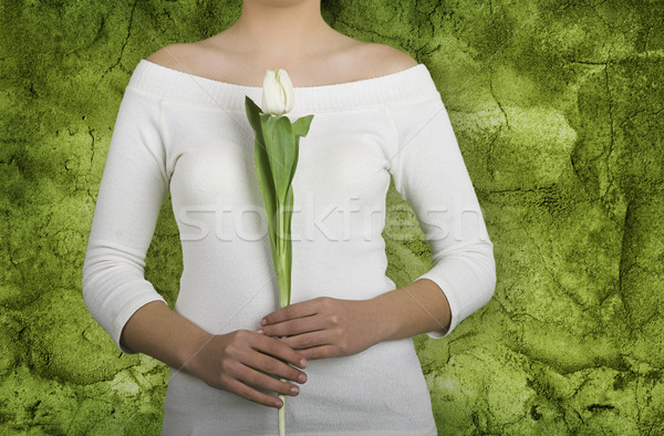 Tulip woman Stock photo © iko