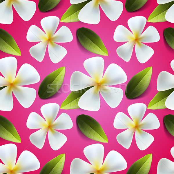 Frangipani flowers seamless pattern Stock photo © ikopylov