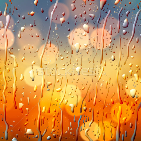 Sonbahar görmek ıslak cam vektör eps10 Stok fotoğraf © ikopylov