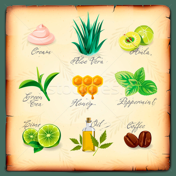 Set of natural cosmetics ingredients Stock photo © ikopylov