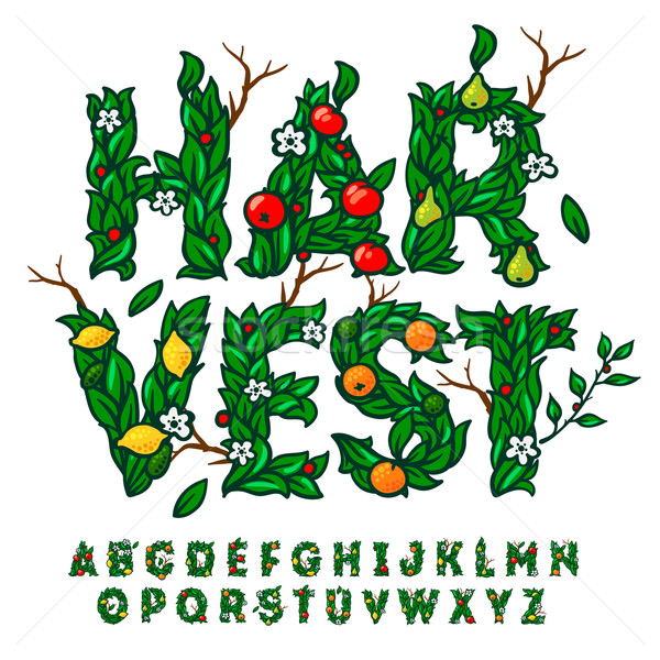 Oogst festival alfabet bladeren vruchten vallen Stockfoto © ikopylov