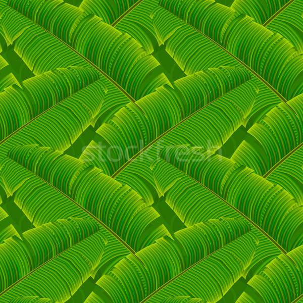 Tropical banana leaves seamless pattern Stock photo © ikopylov