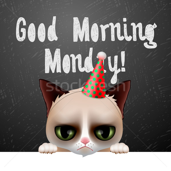 Good morning Monday, with cute grumpy cat Stock photo © ikopylov