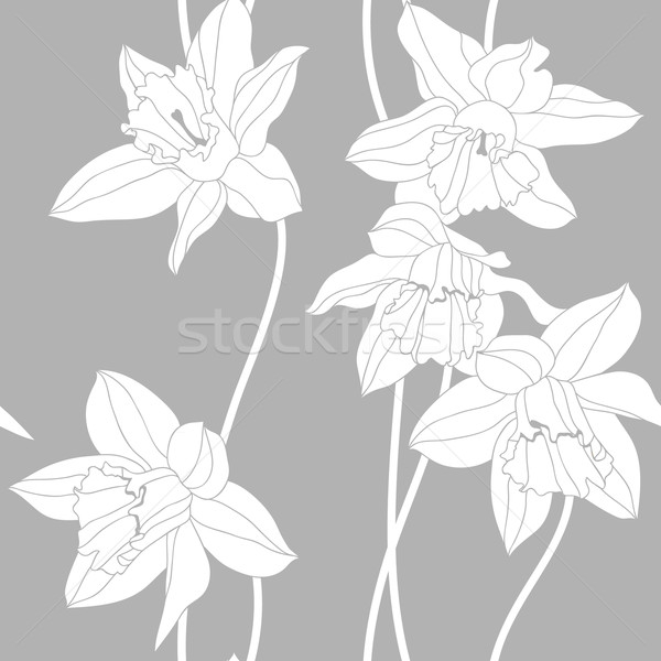 Narcissus seamless pattern. Stock photo © iktash