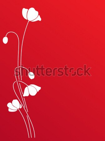 Abstract black poppy on white background Stock photo © iktash