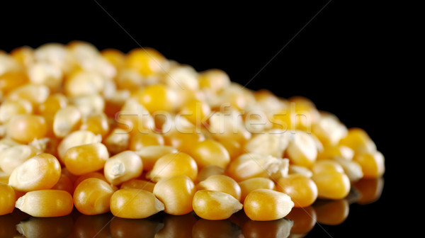 Maize Kernels on Black Stock photo © ildi