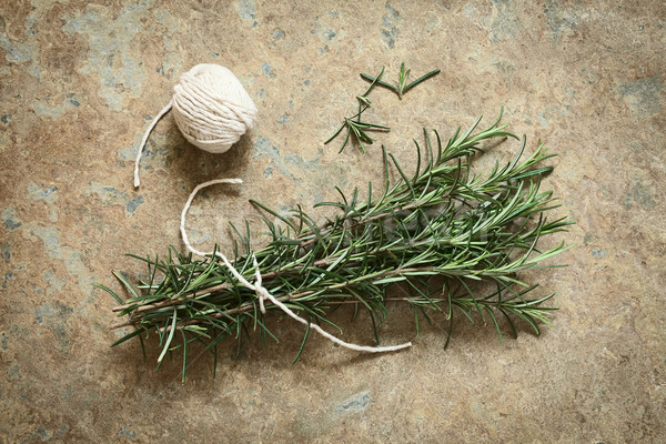 Fresh Rosemary Stock photo © ildi