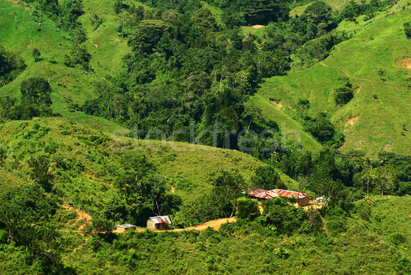 Small Hut in the Sierra Nevada in Northern Colombia Stock photo © ildi