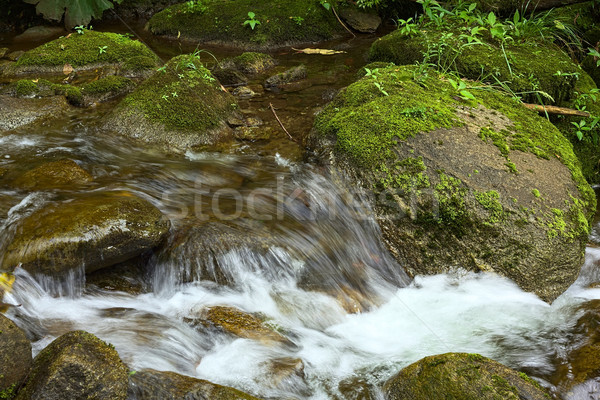 Small Brook with Moss-Covered Rocks  Stock photo © ildi