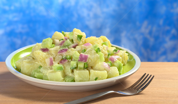 Salada de batatas verde vermelho cebolas pepino curativo Foto stock © ildi