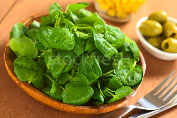 Fresh Watercress Stock photo © ildi