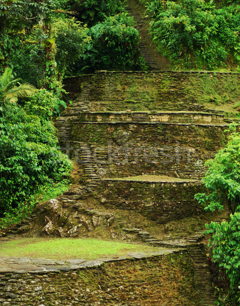 Terraces in Ciudad Perdida Stock photo © ildi