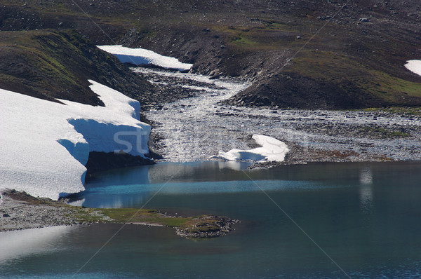 Stream Ending in a Lake Stock photo © ildi