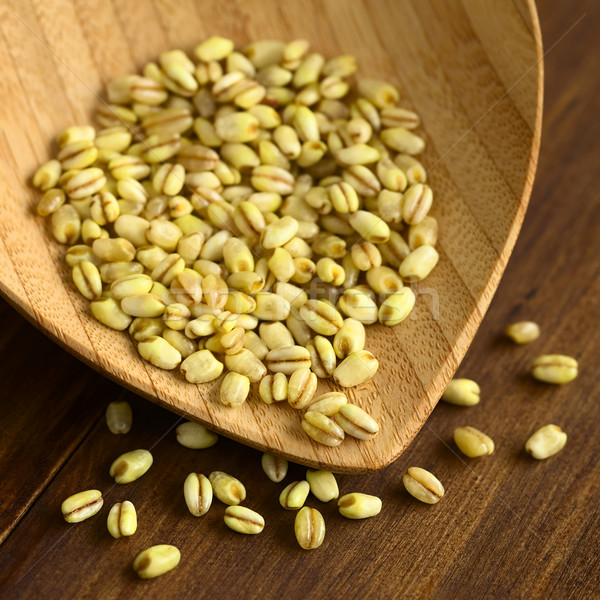 Trigo Mote Wheat Grain Stock photo © ildi
