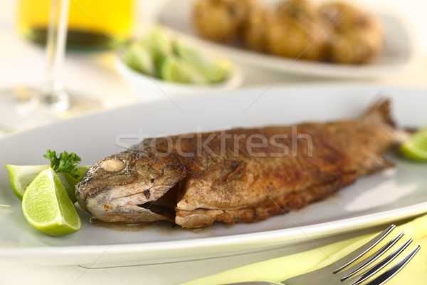 鱒魚 白葡萄酒 背面 選擇性的重點 商業照片 © ildi