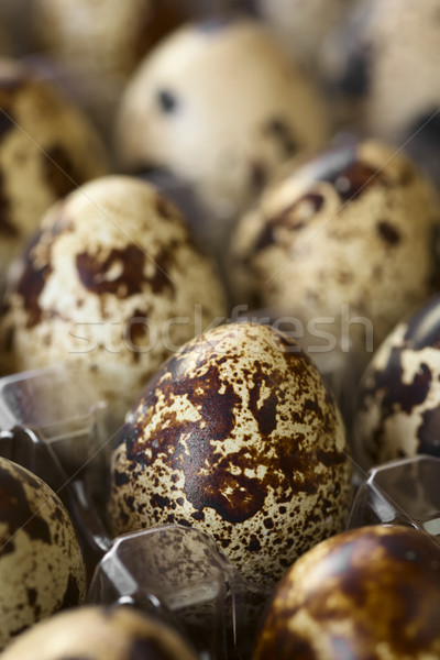 Surowy jaj świeże jaj polu naturalne światło Zdjęcia stock © ildi