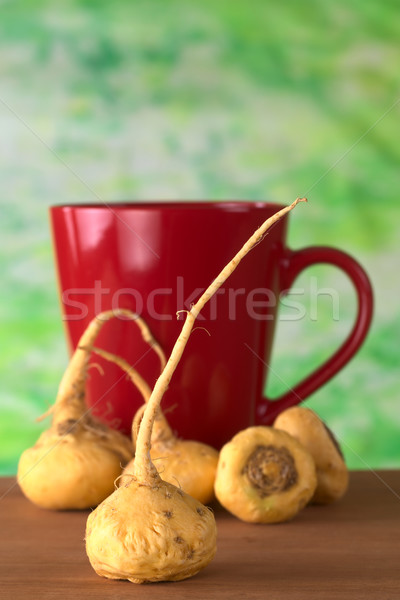 Stock photo: Peruvian Ginseng (Maca)