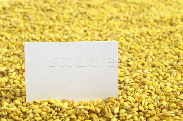 Raw Pearl Barley with Blank Card Stock photo © ildi