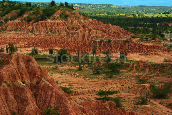 Tatacoa Desert in Colombia Stock photo © ildi