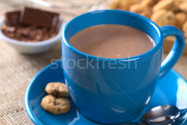 Forró csokoládé kék csésze sütik csészealj csokoládé Stock fotó © ildi