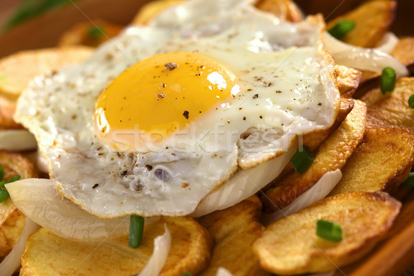 Fried Egg on Fried Potatoes Stock photo © ildi