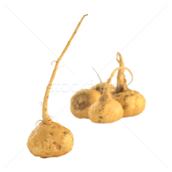 Peruvian Ginseng (Maca) Stock photo © ildi