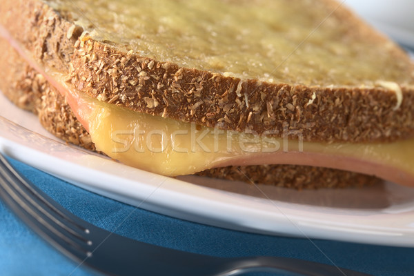 Ekmek sandviç jambon peynir rendelenmiş peynir Stok fotoğraf © ildi