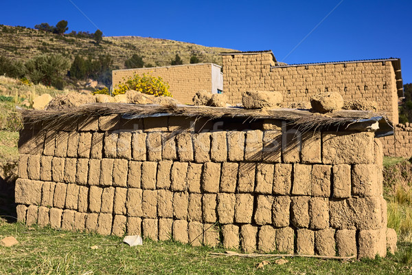 Pile of Adobe Brick at Lake Titicaca in Bolivia Stock photo © ildi