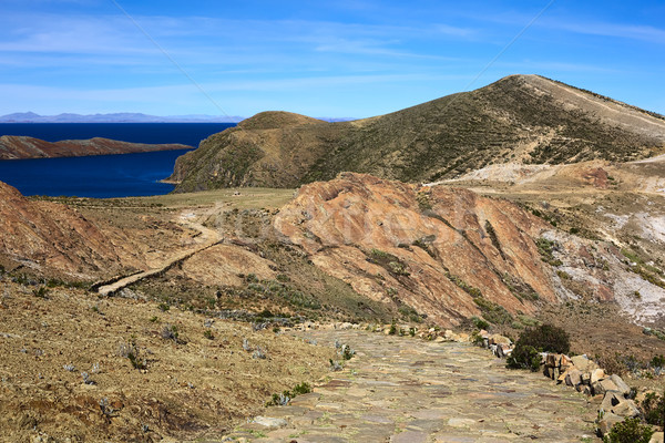 Insel Sonne See Bolivien Weg führend Stock foto © ildi