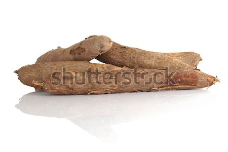 Cassava  Stock photo © ildi