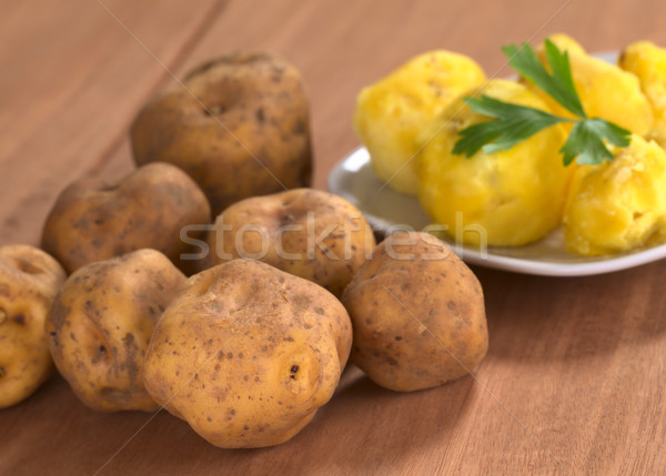 Peruvian Yellow Potato Stock photo © ildi