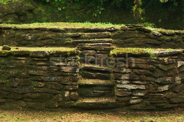 Stone Stairs Leading to a Terrace in Ciudad Perdida, Colombia Stock photo © ildi