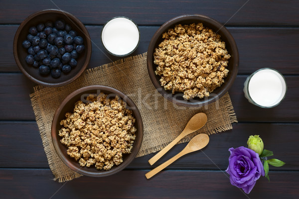 Breakfast Cereal with Blueberries and Milk Stock photo © ildi